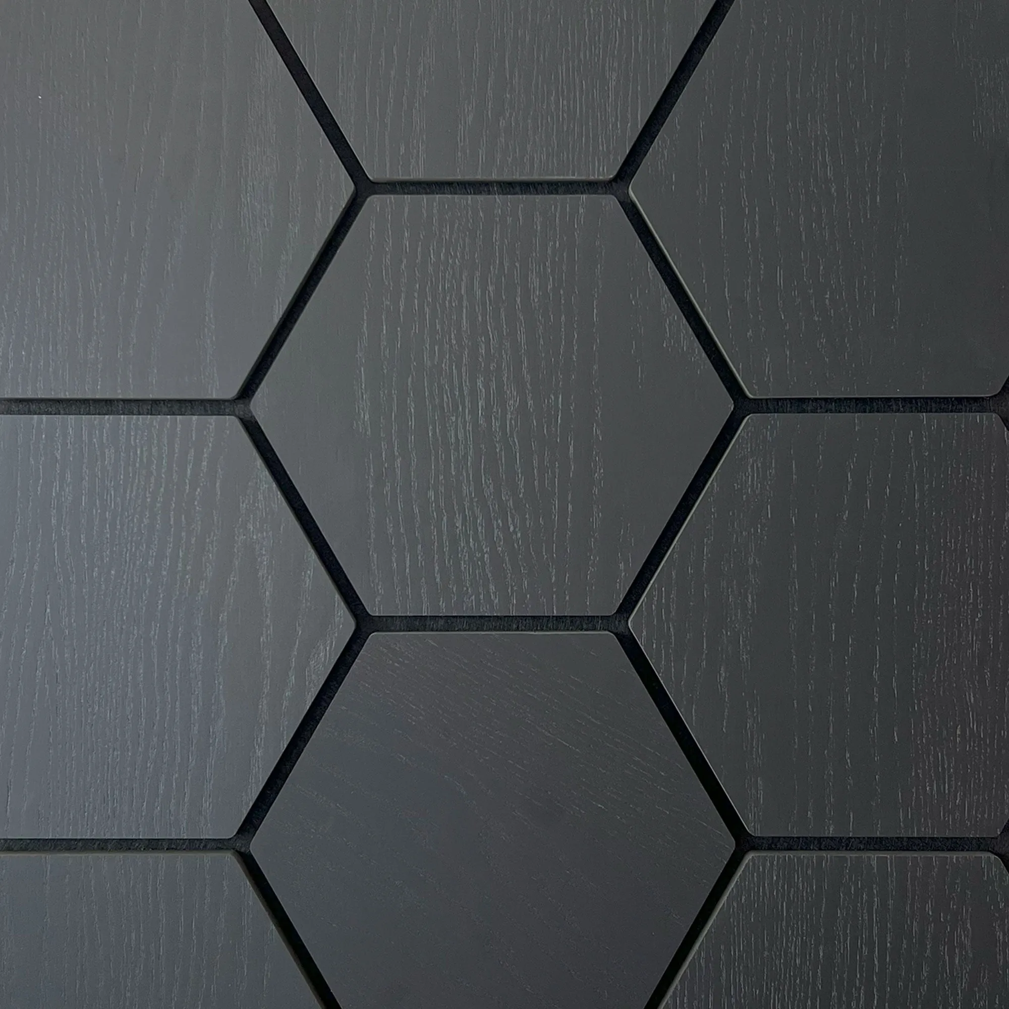 Sample - Hexagon Panel Black